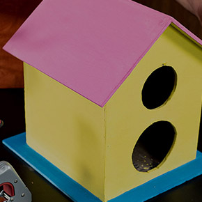 Bird House DIY using Miles