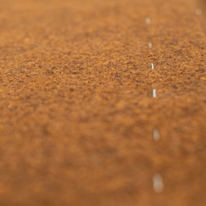 Instantly fix carpets at home